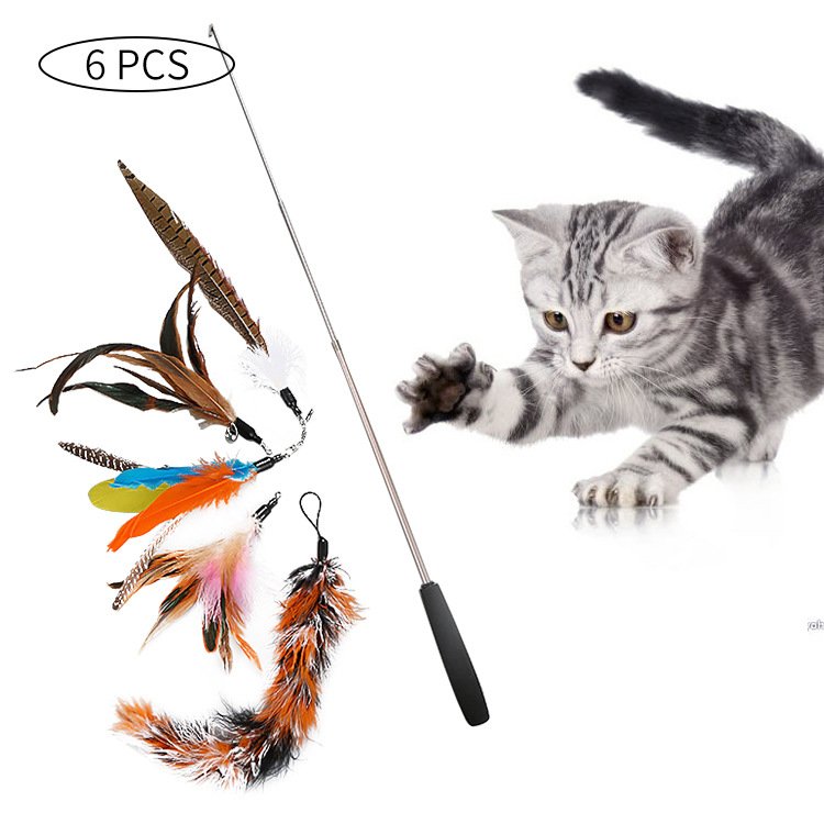Fishing rod cat toy (as the picture shows 6pcs) - Reanga